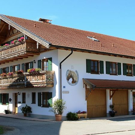 Ferienwohnung Erhard Schonberg  Esterno foto